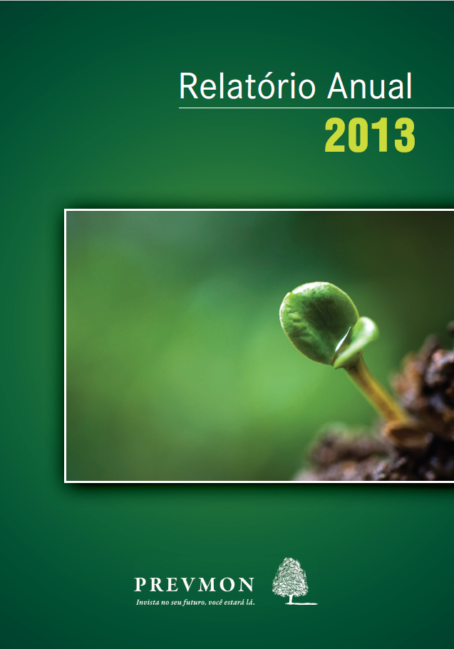 relatorio-anual-2013